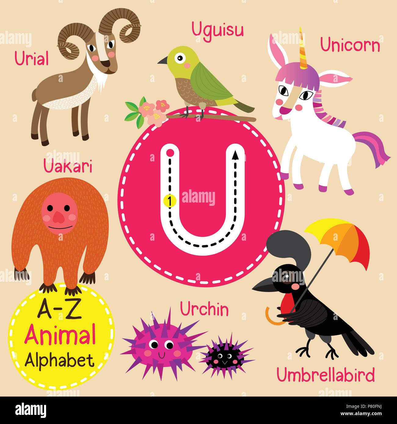 Cute children zoo alphabet U letter tracing of funny animal cartoon for