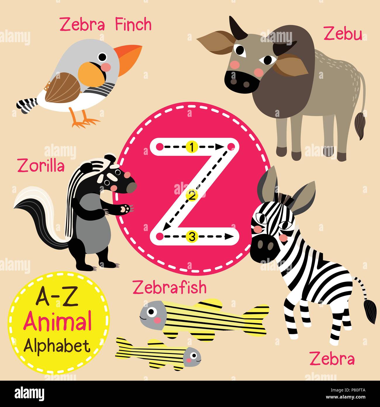 Cute children zoo alphabet Z letter tracing of funny animal cartoon for kids learning English vocabulary Stock Vector