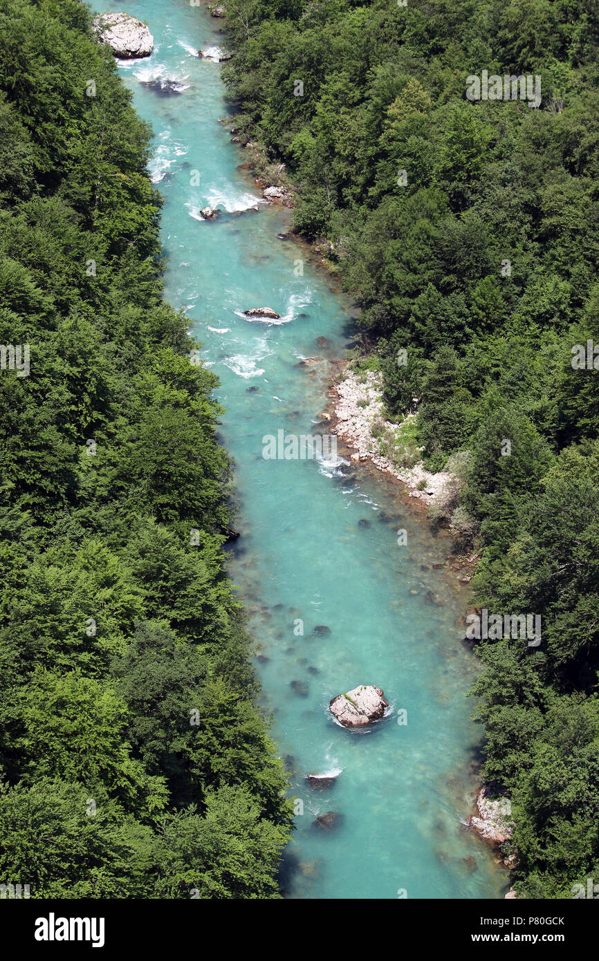 Tara river Montenegro summer season Stock Photo