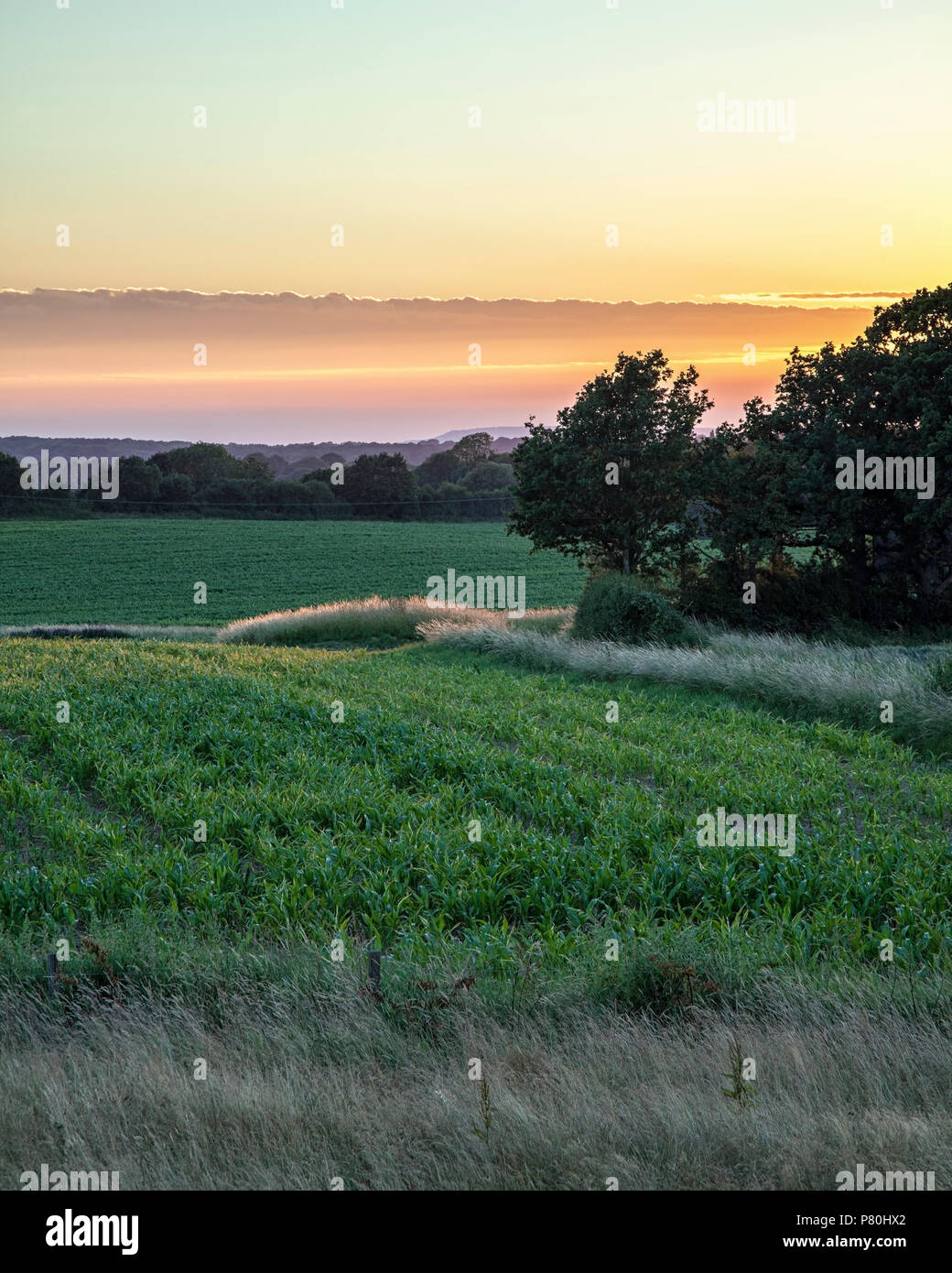 Dusk over farmland, Henfield, West Sussex Stock Photo