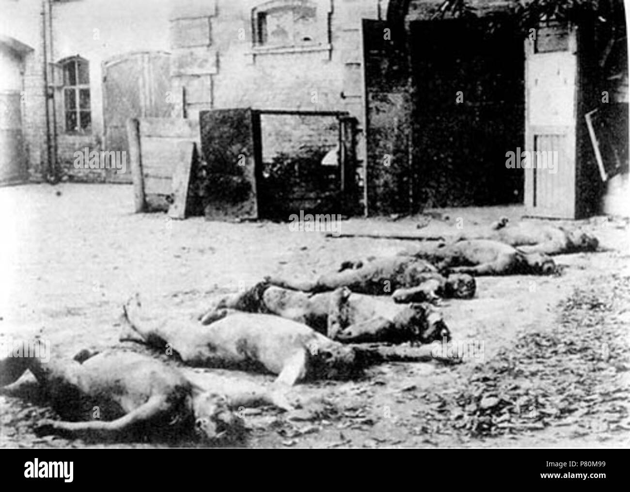 :    ( , 5)   . English: Kharkiv govcheka yard (Sadova street, 5) with the corpses of executed. between 1918 and 1923 328 Red terror 002 Stock Photo