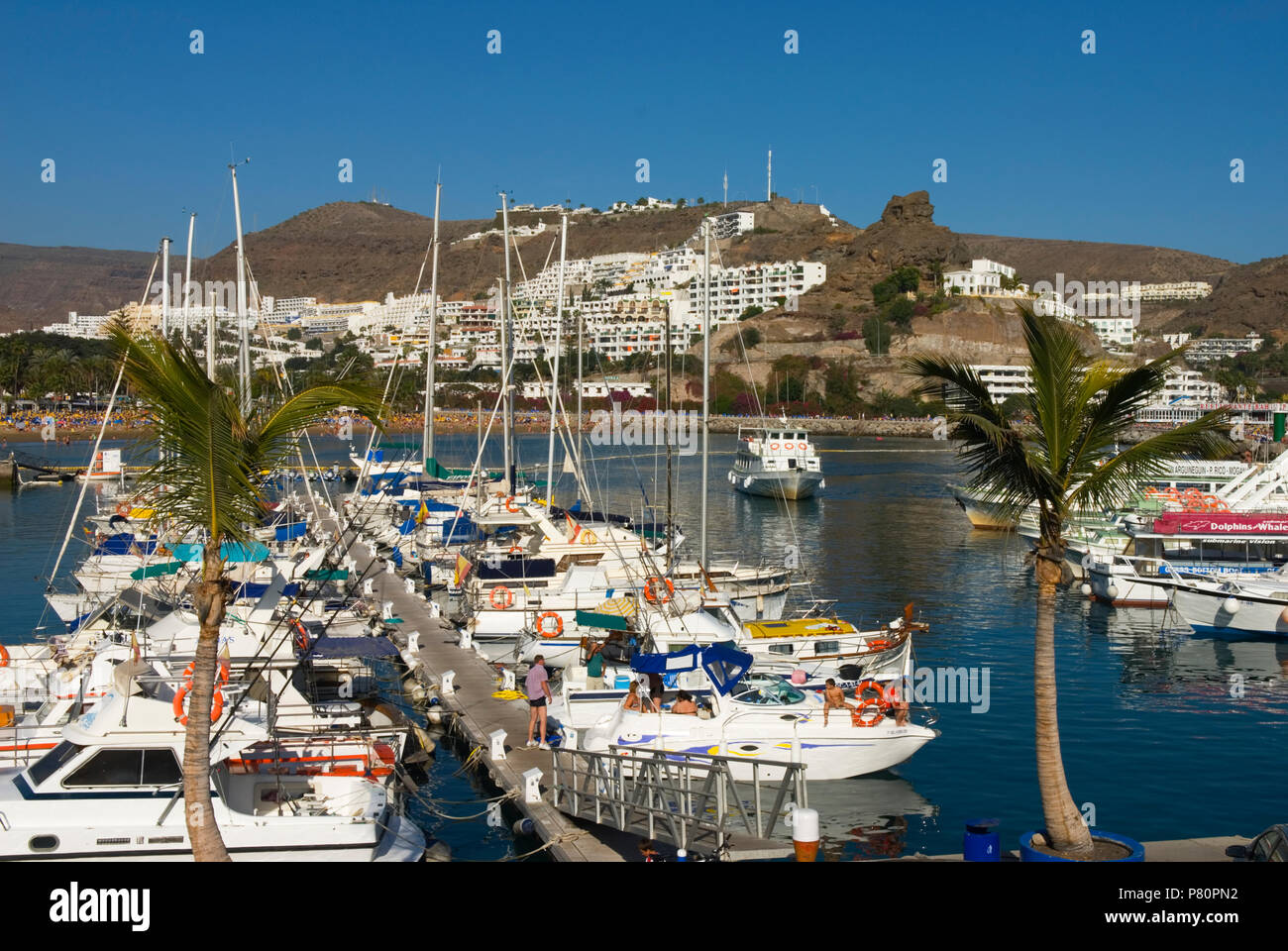 Spain - Canary Islands - Gran Canaria -  Puerto Rico - View of Marina Stock Photo