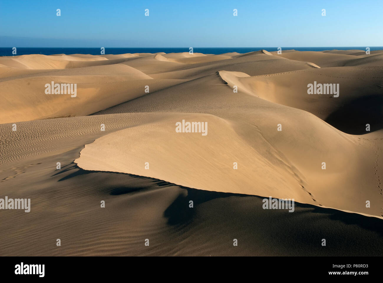 Sand dunes of Maspalomas, Gran Canaria, Canary Islands, Spain Stock Photo