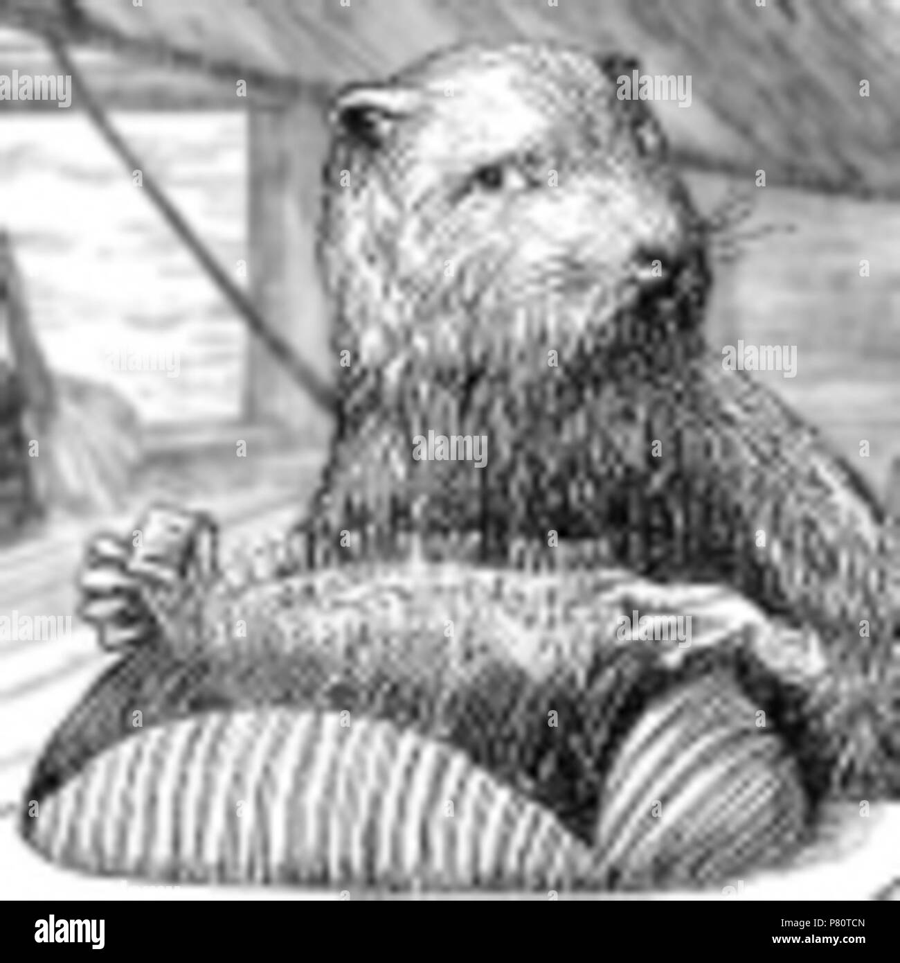 N/A. N/A 349 Snark Beaver Stock Photo - Alamy