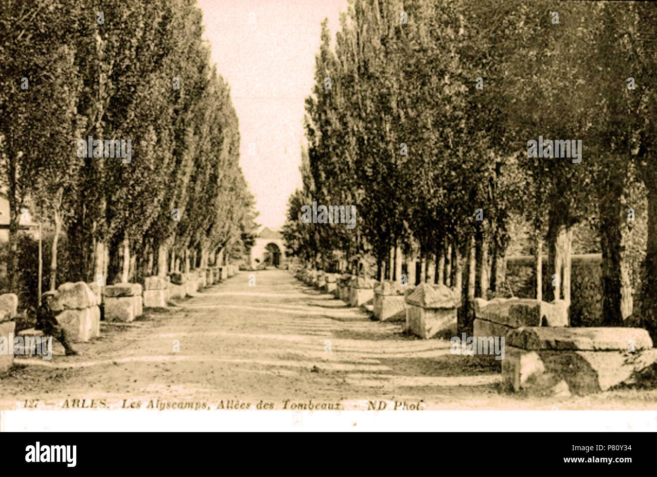 Français : Allée centrale des Alyscamps à Arles . 27 September 2011 26 Arles Alyscamps Stock Photo