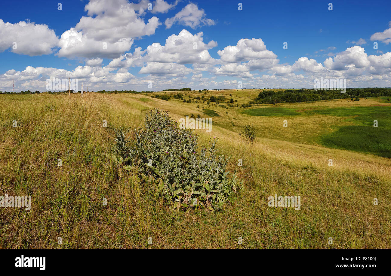 beautiful summer landscape in Russia Stock Photo - Alamy