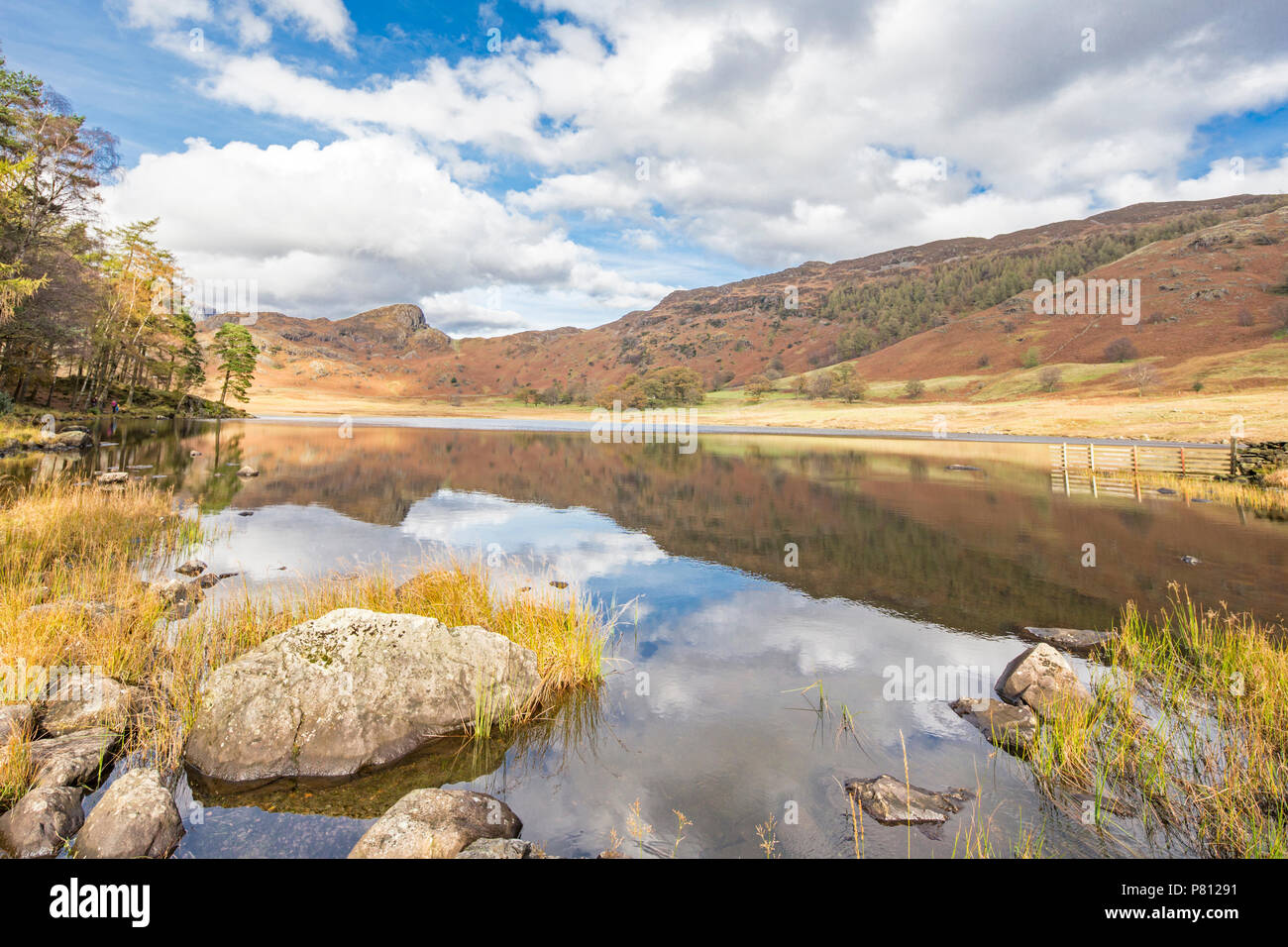 Early Autumn at Blea Tarn, Little Langdale, Lake District National Park, Cumbria, England, UK Stock Photo