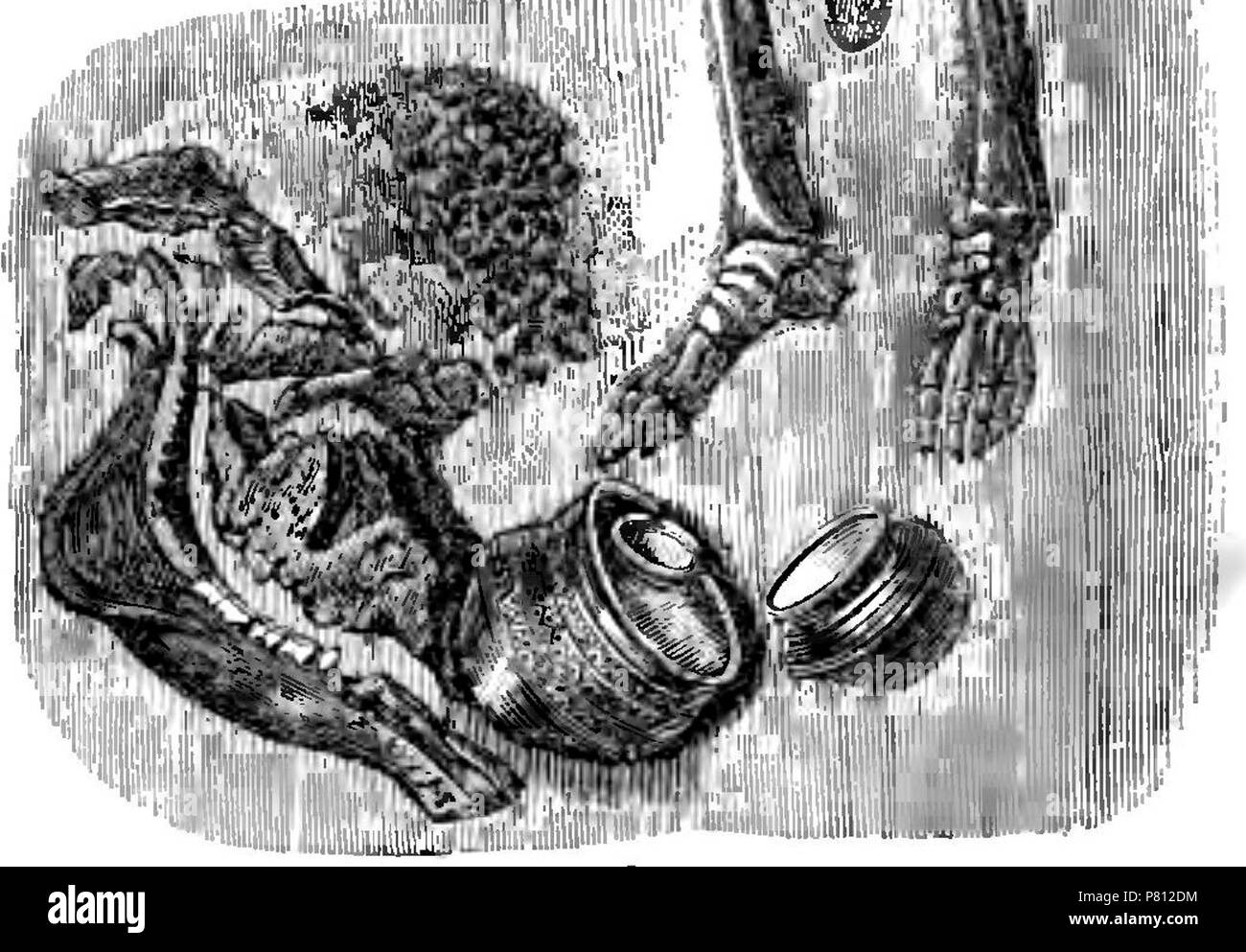 Illustration from 'Horseshoes and horseshoeing their origin