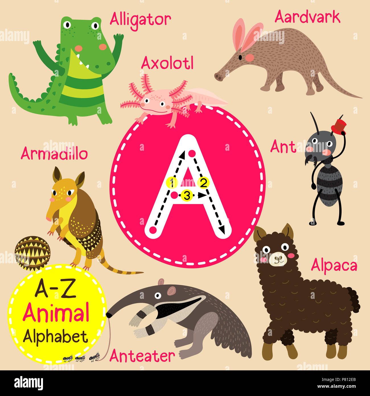 Cute children zoo alphabet A letter tracing of funny animal cartoon for  kids learning English vocabulary Stock Photo - Alamy