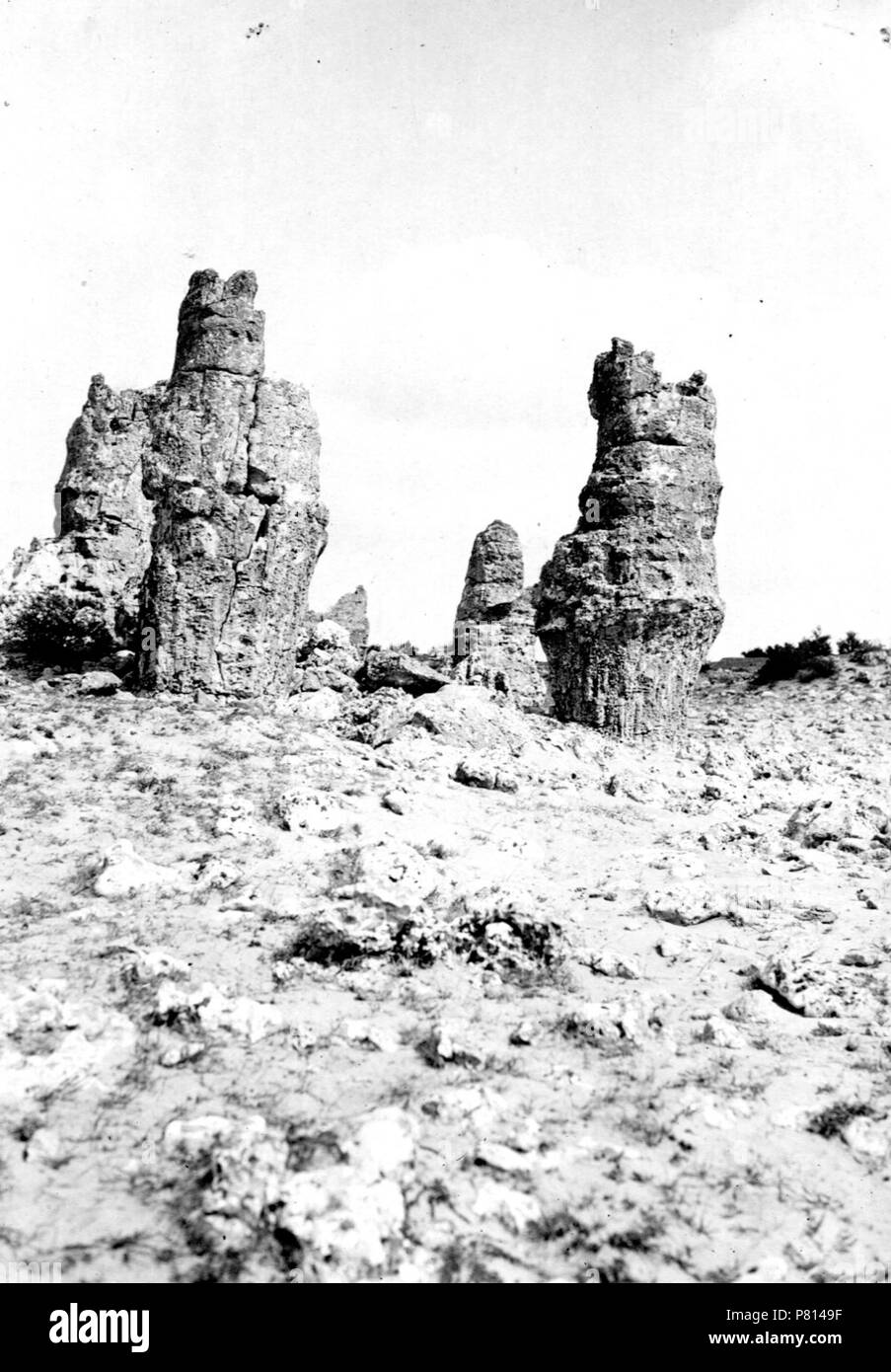 English Stone Forest near by Varna a natural phenomenon, known as