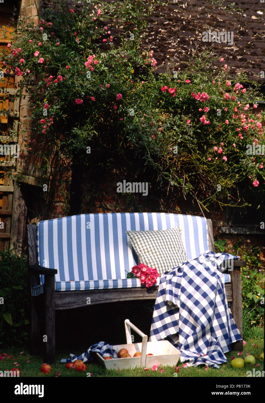 Wood Bench In Late Summer Garden With Blue And White Cushions And