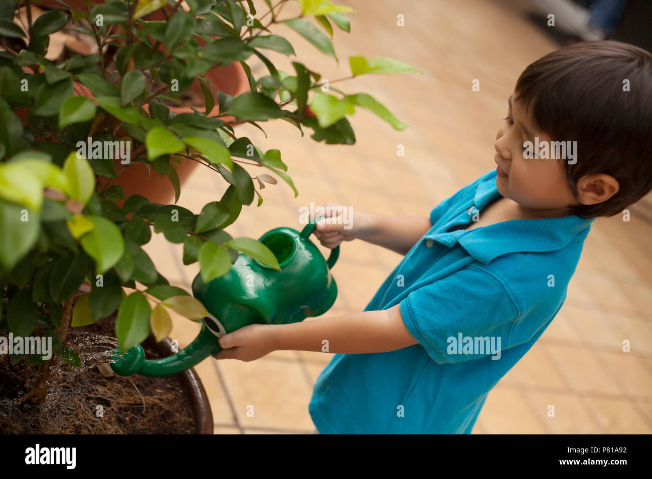 Boy watering plants hi-res stock photography and images - Alamy