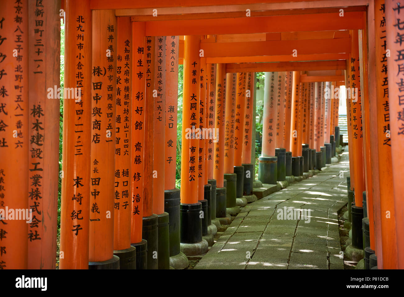 Senbon Torii Gates High Resolution Stock Photography And Images Alamy Senbon Torii Gates High Resolution Stock Photography And Images Alamy