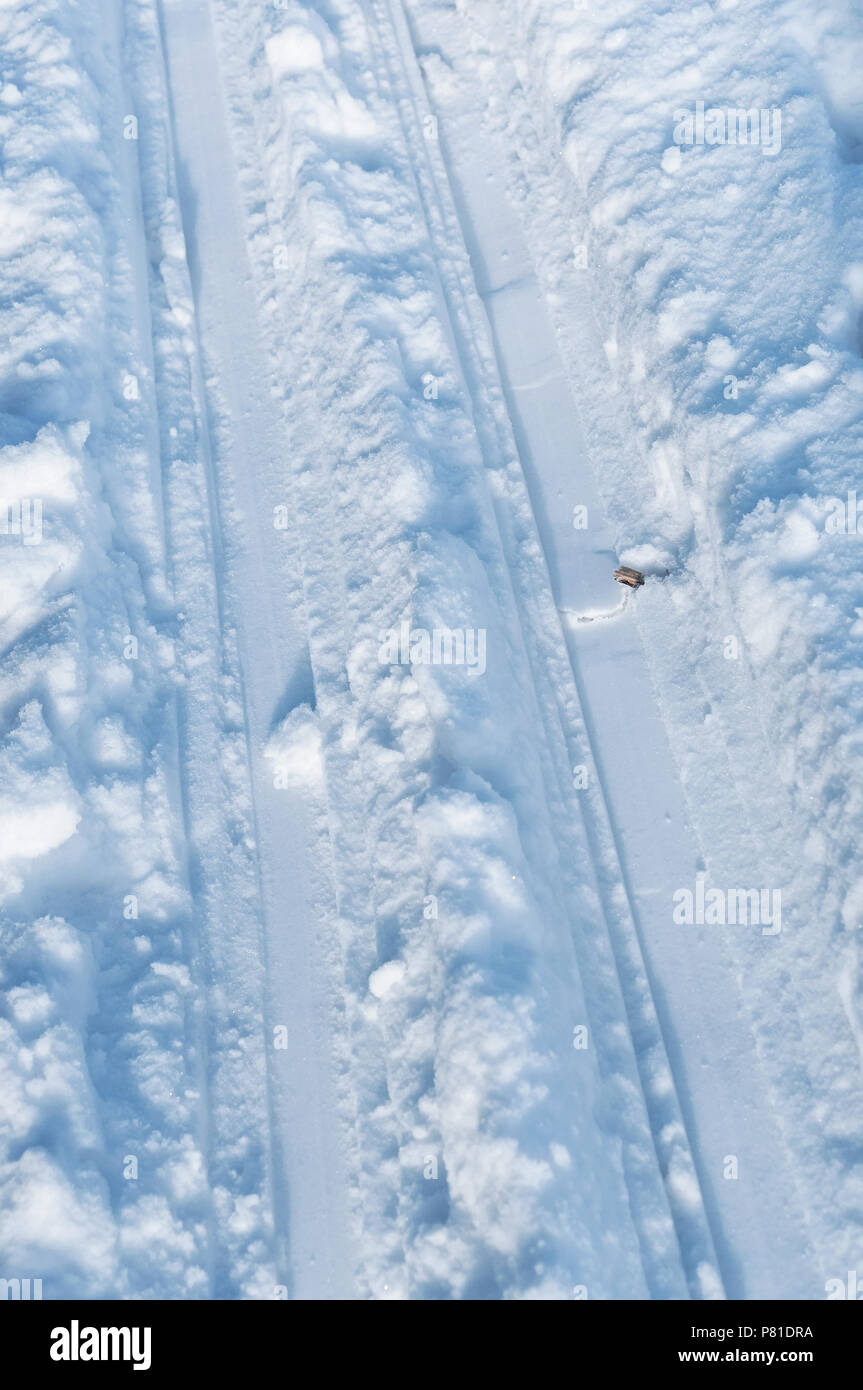 ski track on snow, ski tracks, two ski tracks Stock Photo