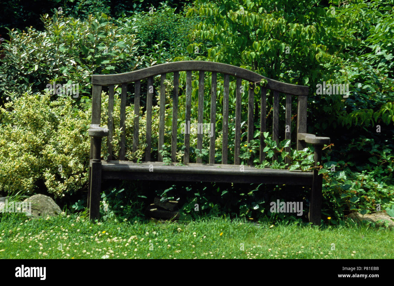 Wooden Bench Against Shrub Border In Country Garden Stock Photo