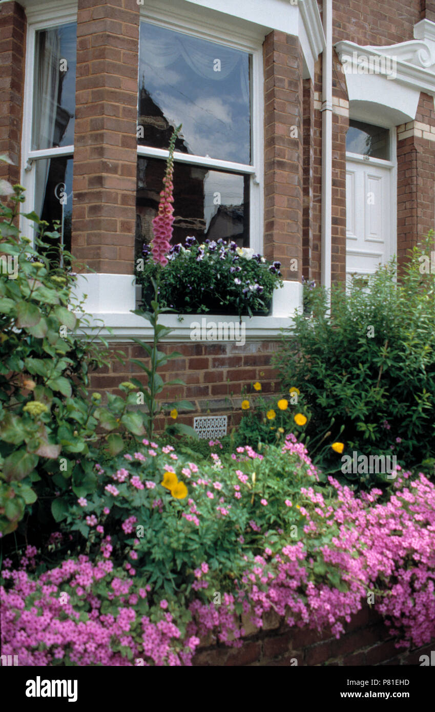Pink flowering plants in border below bay window in traditional