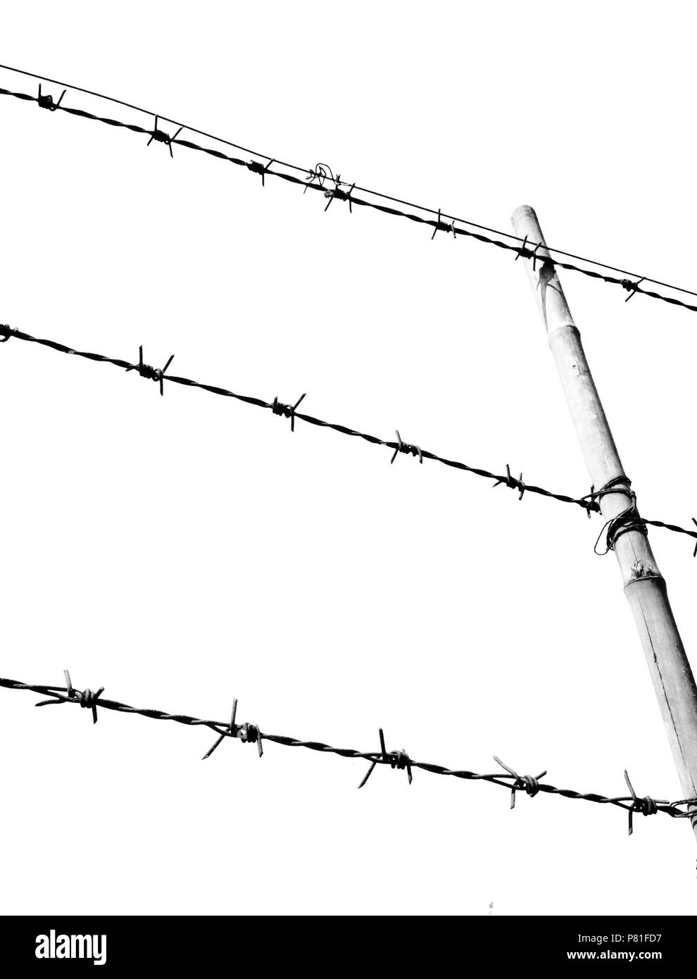 barbed wire fence for blocking on white background Stock Photo - Alamy