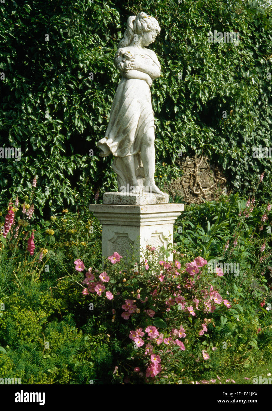 Pink cistus below classical statue on plinth in French country garden Stock Photo