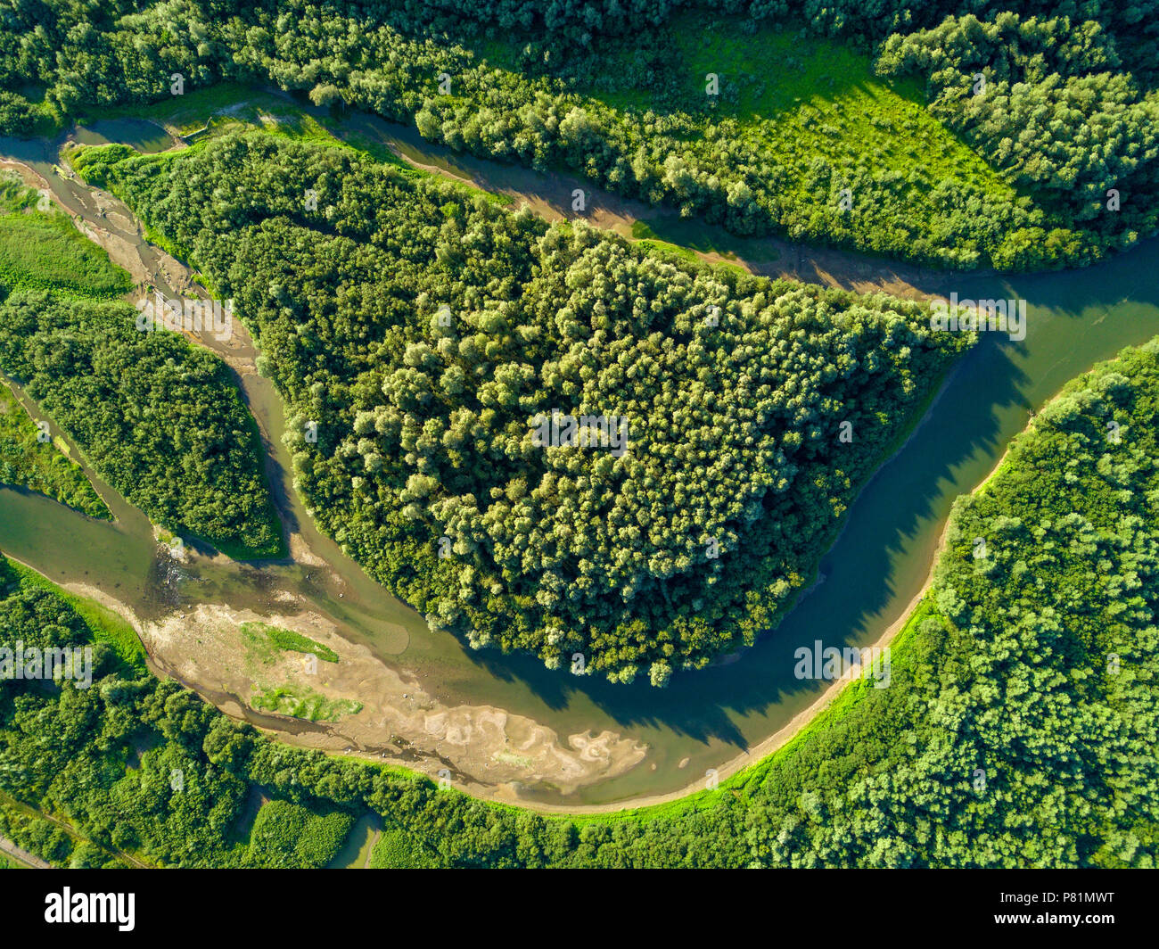 Aerial view of forest and river Stock Photo - Alamy