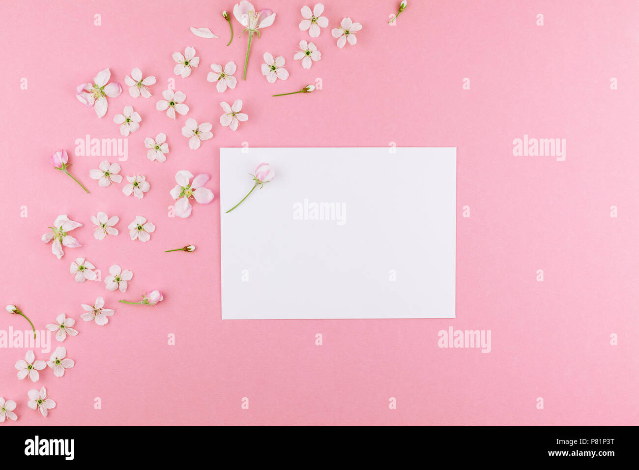Creative flat lay concept top view of blank postcard frame mock up and ...