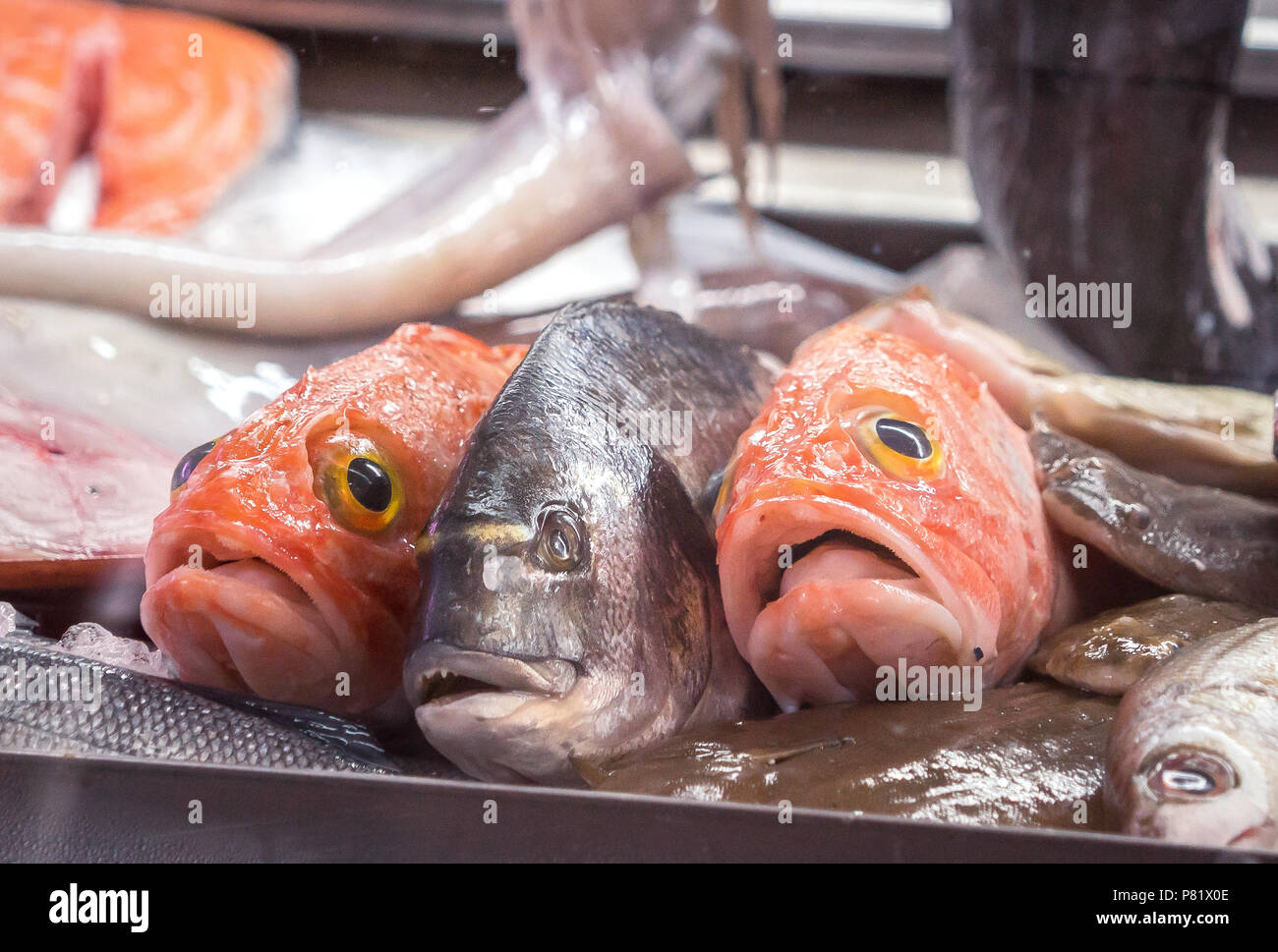 Lisbon, Portugal, fresh fish in a restaurant Stock Photo