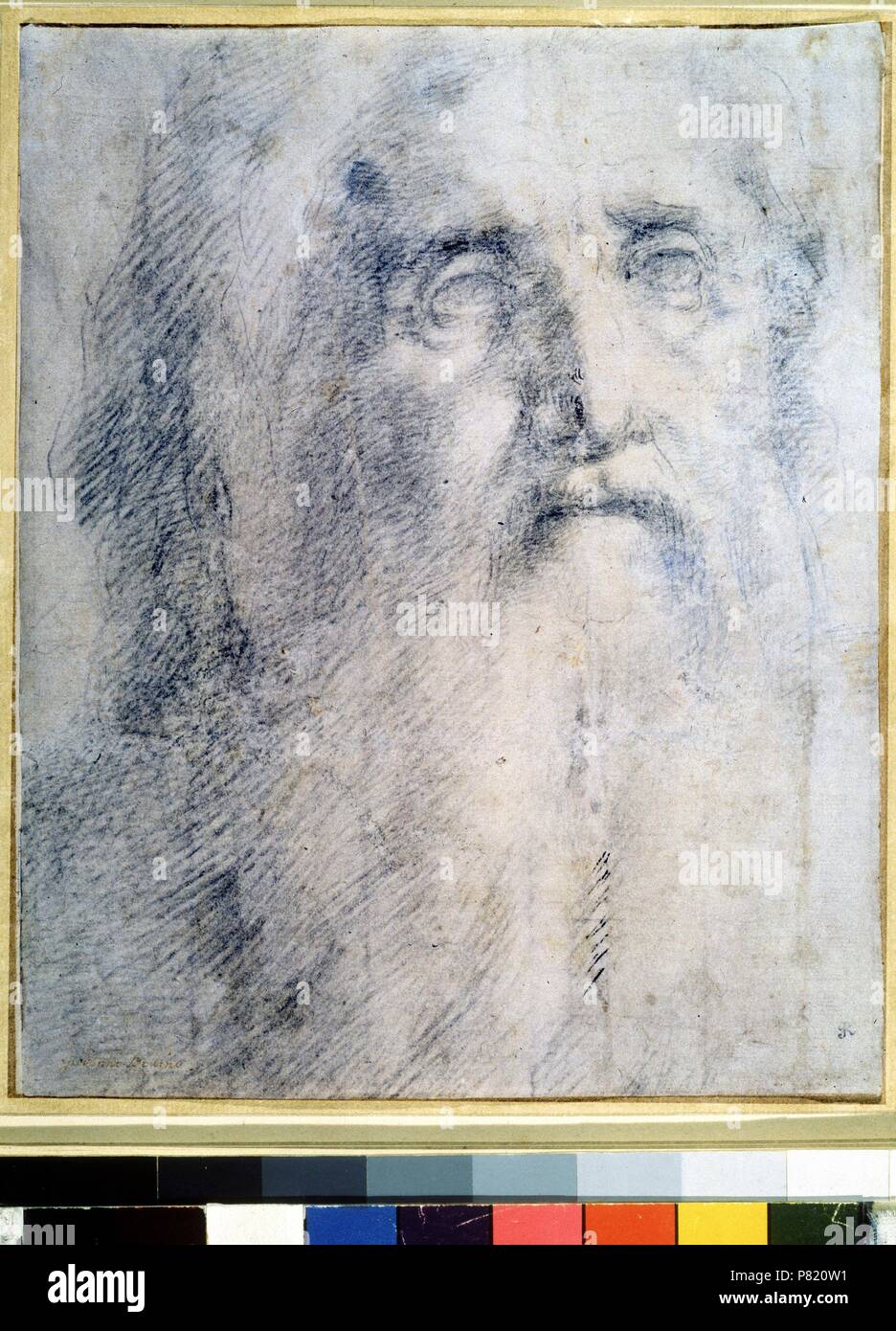 Study of an old Man's head with a beard. Museum: State A. Pushkin Museum of Fine Arts, Moscow. Stock Photo