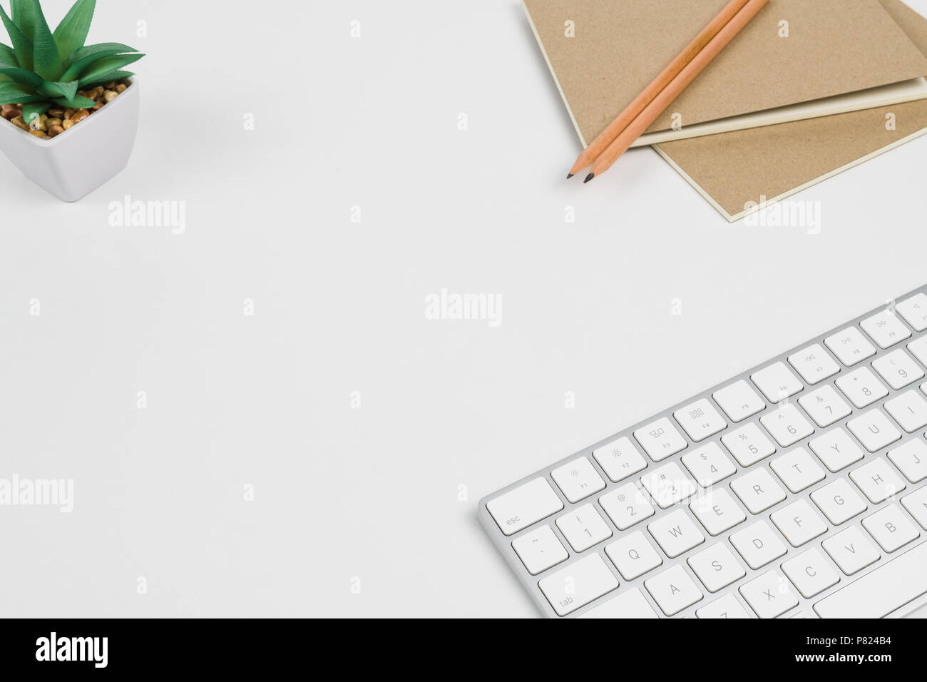 Keyboard Notepad And Succulent Stock Photo Alamy Keyboard notepad and succulent stock photo alamy