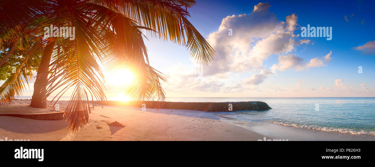 Art Beautiful sunrise over the tropical beach Stock Photo - Alamy