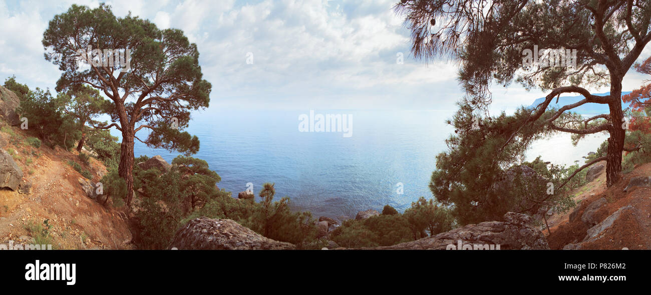 Panorama sea pine rock mountain background Stock Photo - Alamy