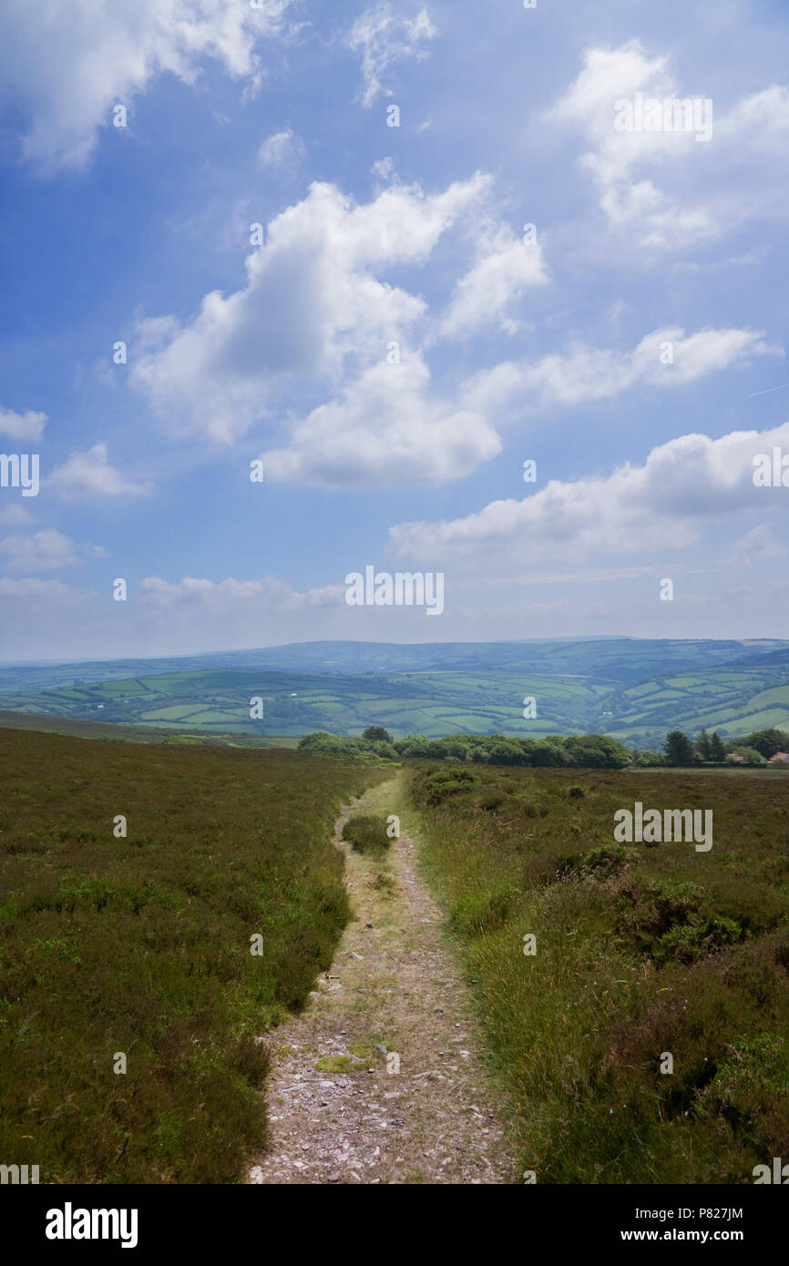 Devon pathway hi-res stock photography and images - Alamy