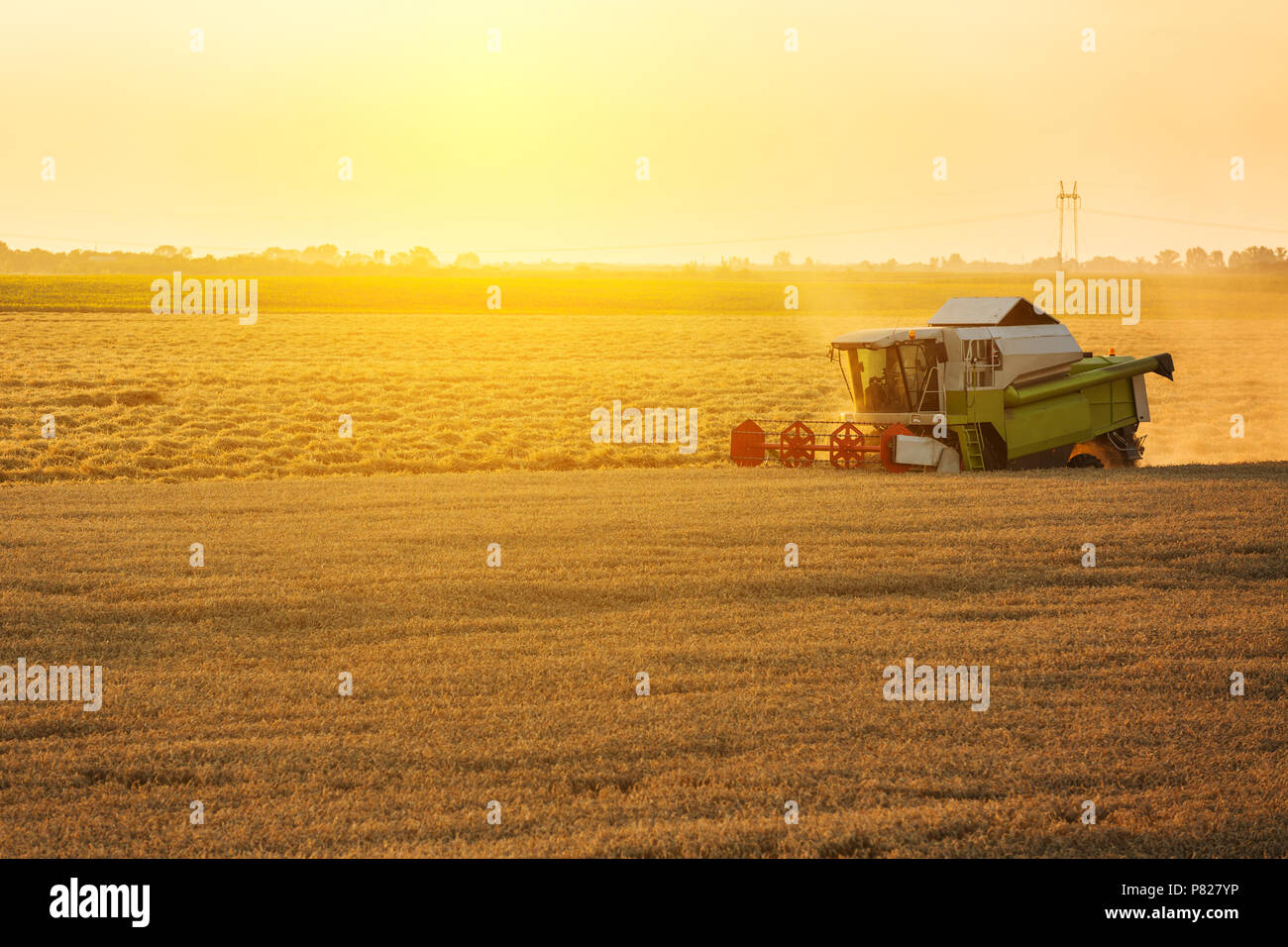 Combine harvester in action on wheat field Stock Photo - Alamy