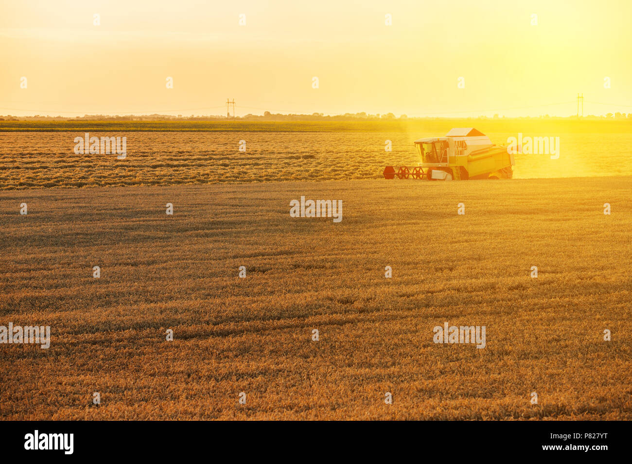 Combine harvester in action on wheat field Stock Photo - Alamy