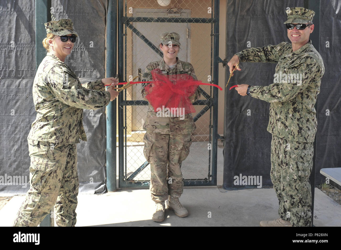 Camp Lemonnier Commanding Officer Navy Capt Geof Colpitts Veterinary