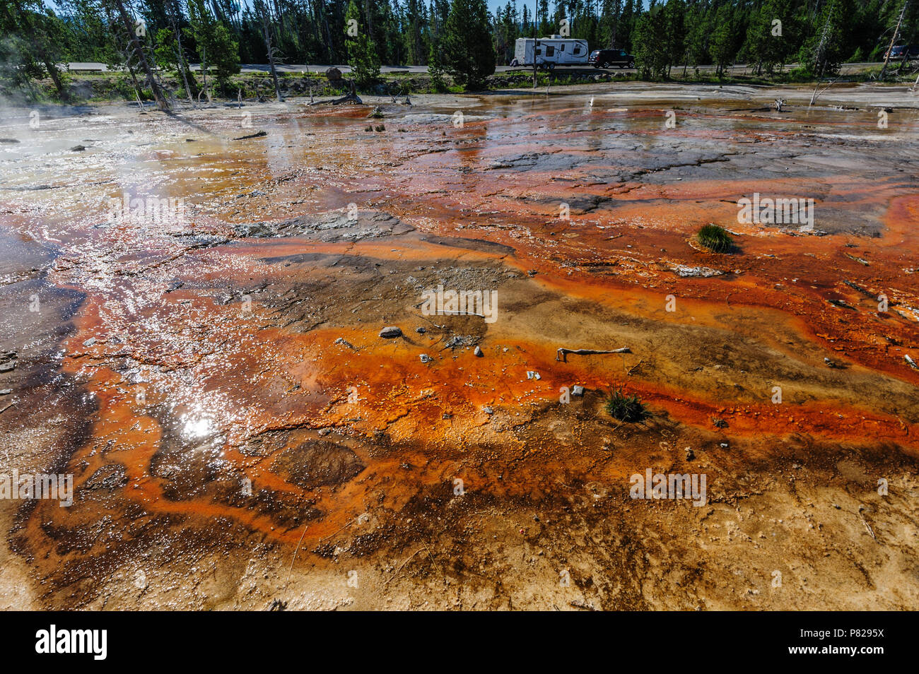 Colorful Bacteria Mats Geyser in Yellowstone Stock Photo ...