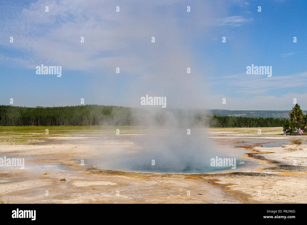 Smoking Geyser in Yellowstone Stock Photo - Alamy