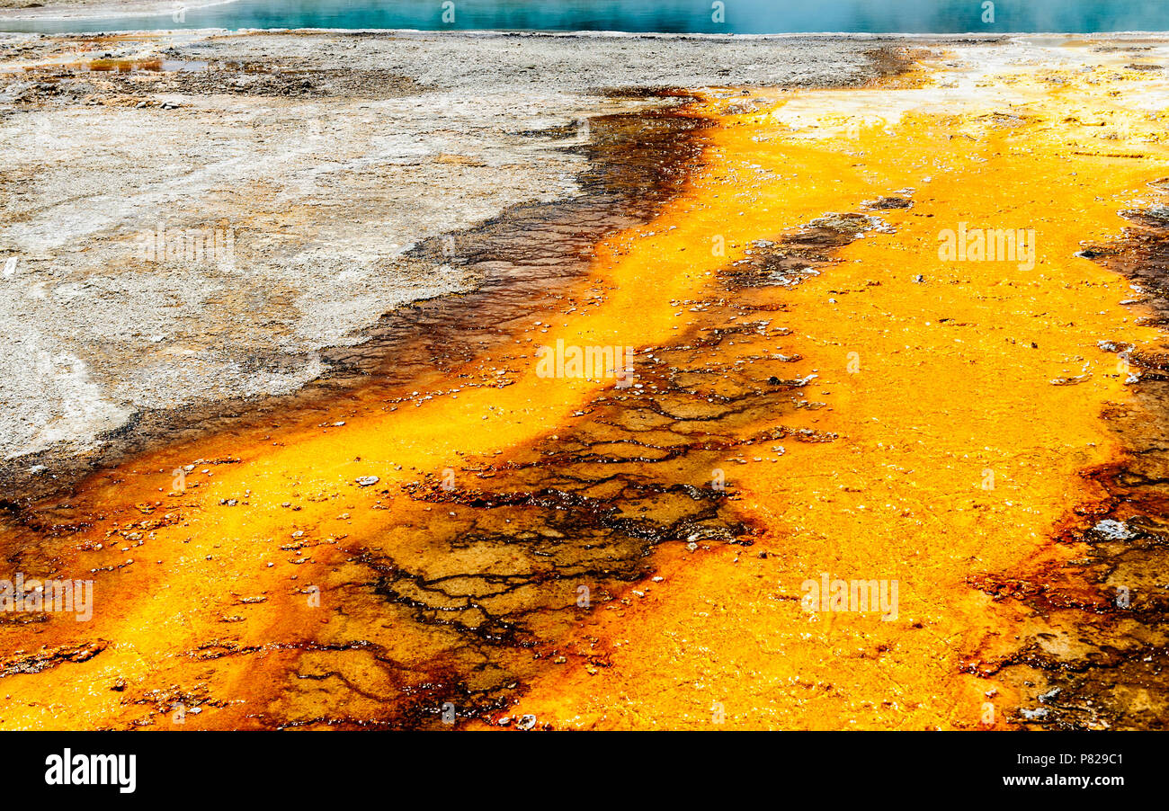 Colorful bacteria mats in Yellowstone Stock Photo - Alamy