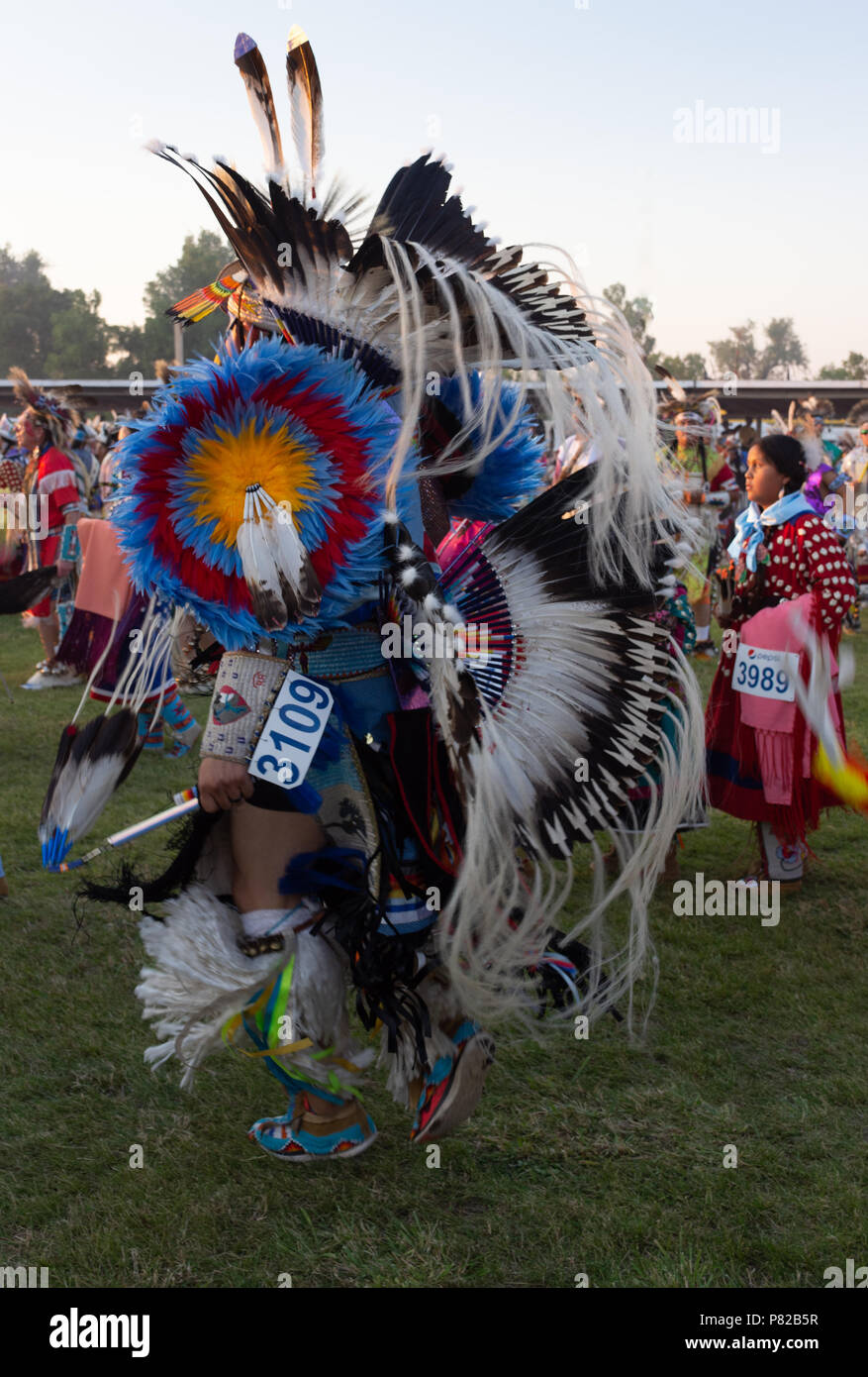 A Native American Male Pow Wow Dancer Photographed From Behind With A A Native American Male Pow Wow Dancer Photographed From Behind With A