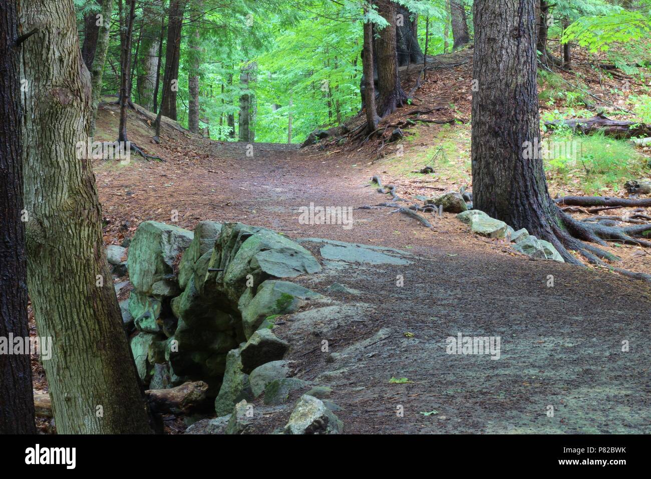Vaughan Woods, Waterfalls, Hobbit Land, National Park, Hiking Trail