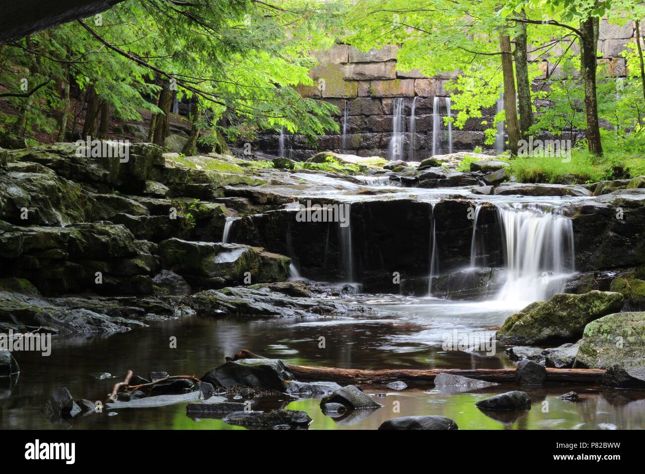 Vaughan Woods, Waterfalls, Hobbit Land, National Park, Hiking Trail