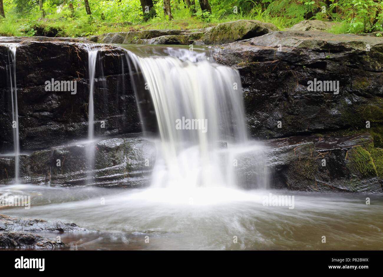 Vaughan Woods, Waterfalls, Hobbit Land, National Park, Hiking Trail