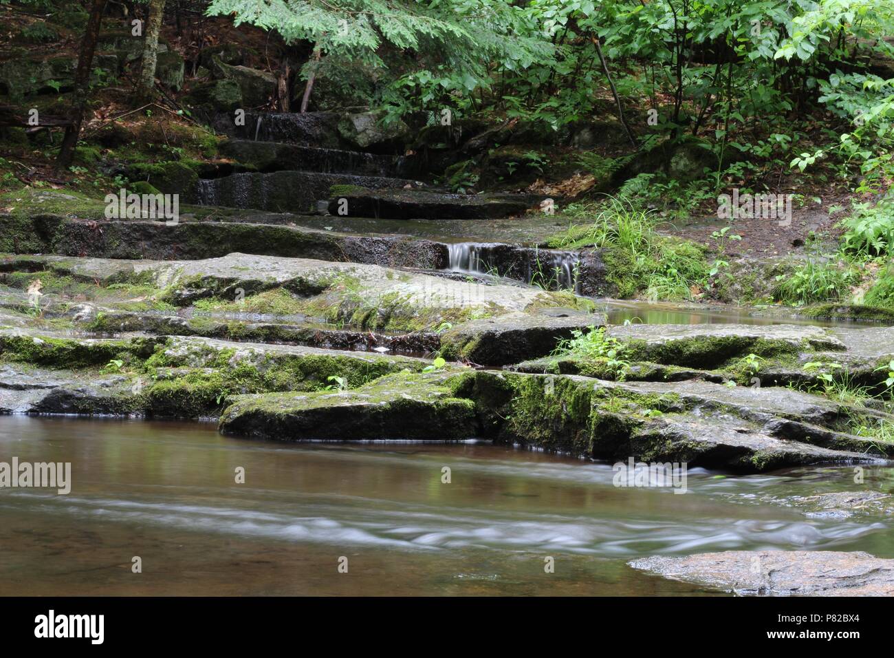 Vaughan Woods, Waterfalls, Hobbit Land, National Park, Hiking Trail