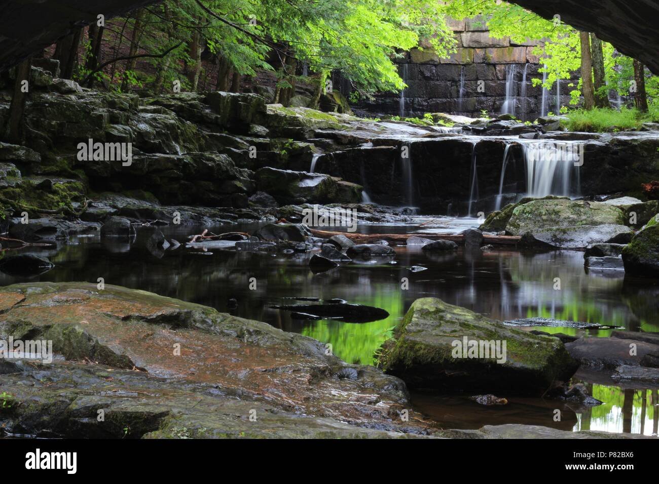 Vaughan Woods, Waterfalls, Hobbit Land, National Park, Hiking Trail