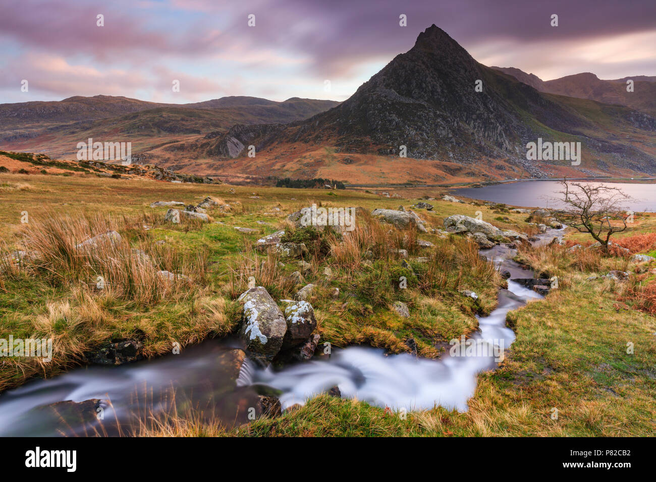 A stream in the Snowdonia National Park with Tryfan in the distance. Stock Photo