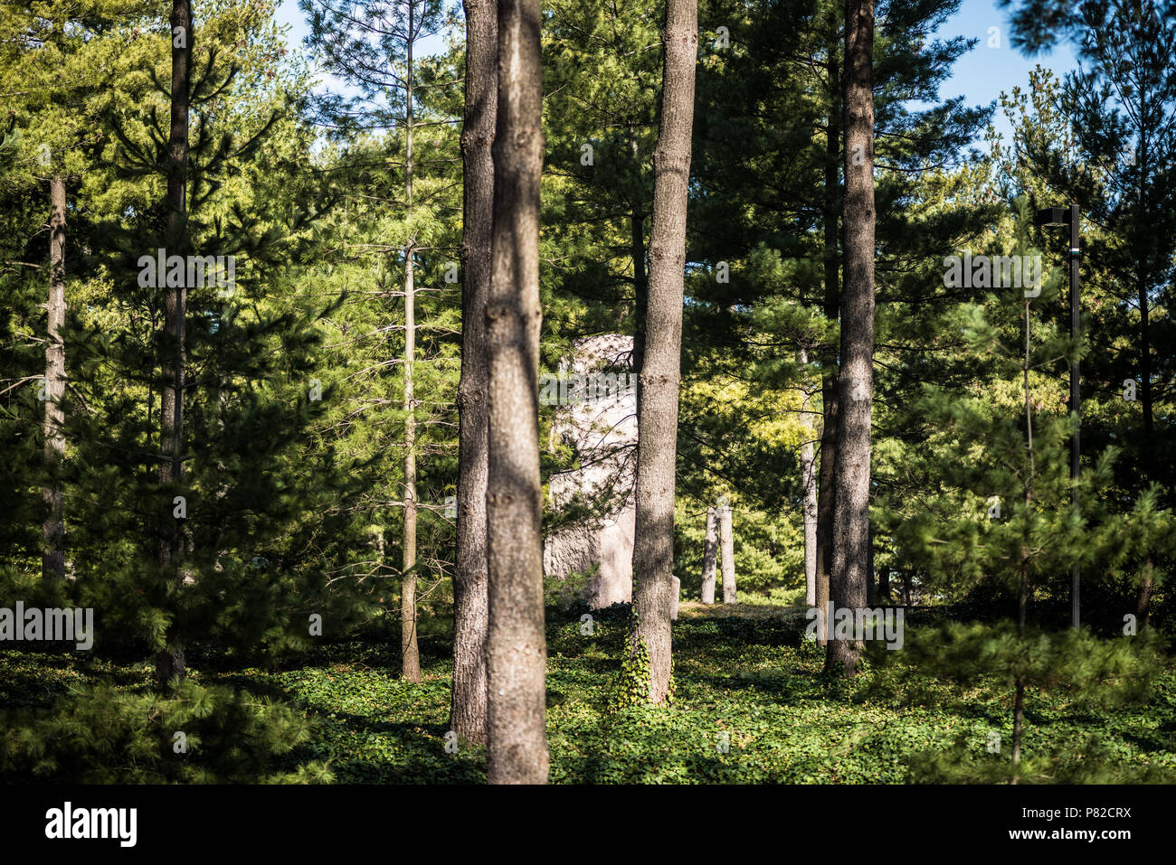 WASHINGTON DC, United States — The Lyndon Baines Johnson Memorial Grove on the Potomac. The 17-foot tall pink granite monolith, engraved with quotations from the 36th president, stands amid a peaceful landscape of trees and walking paths overlooking the Potomac River. Stock Photo