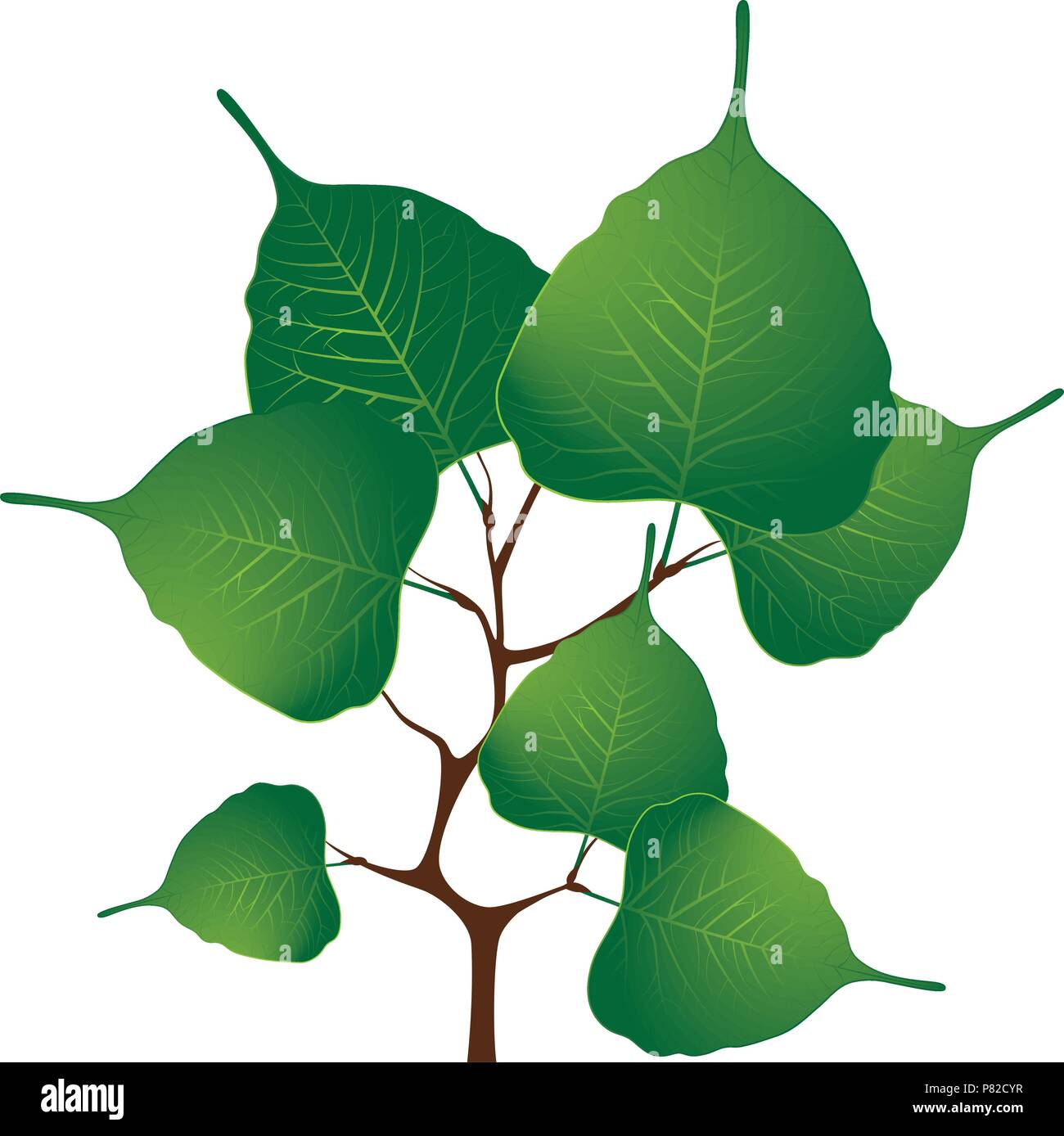Branch with green leaves, vector illustration Stock Vector