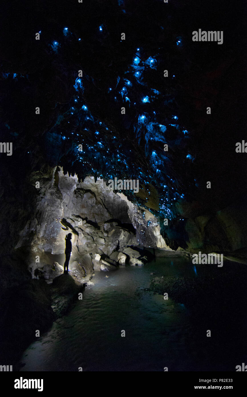 Glow-worm Caves in Waipu, New Zealand Stock Photo