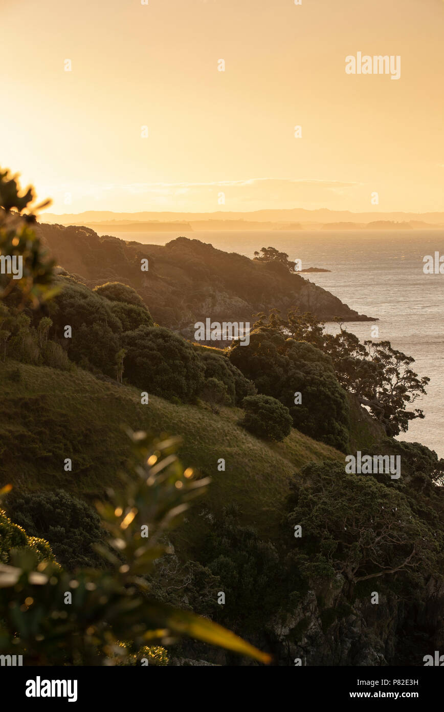 Tiritiri Matangui coastline at sunset Stock Photo