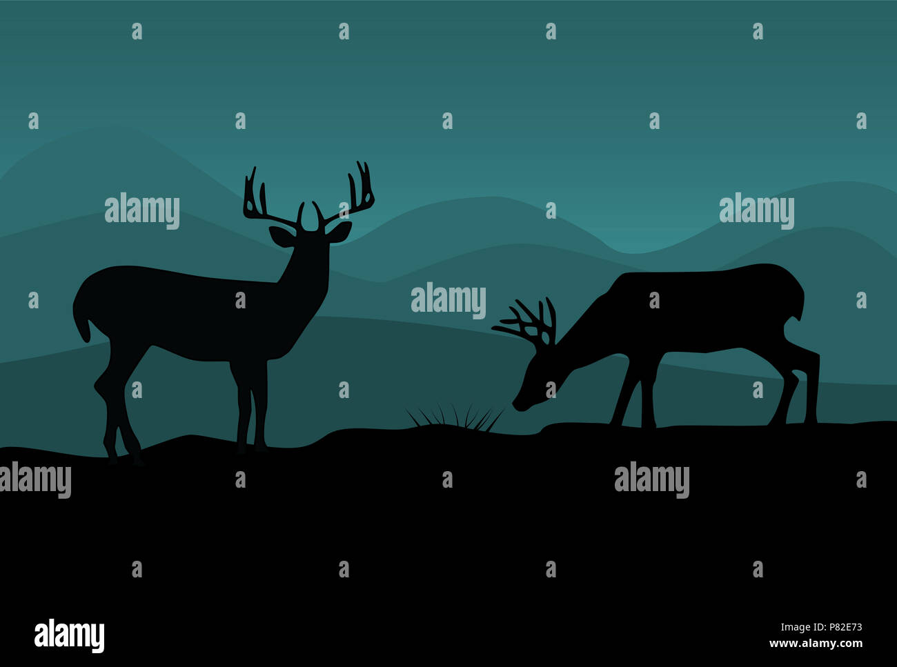 Deers eating grass illustration Stock Photo