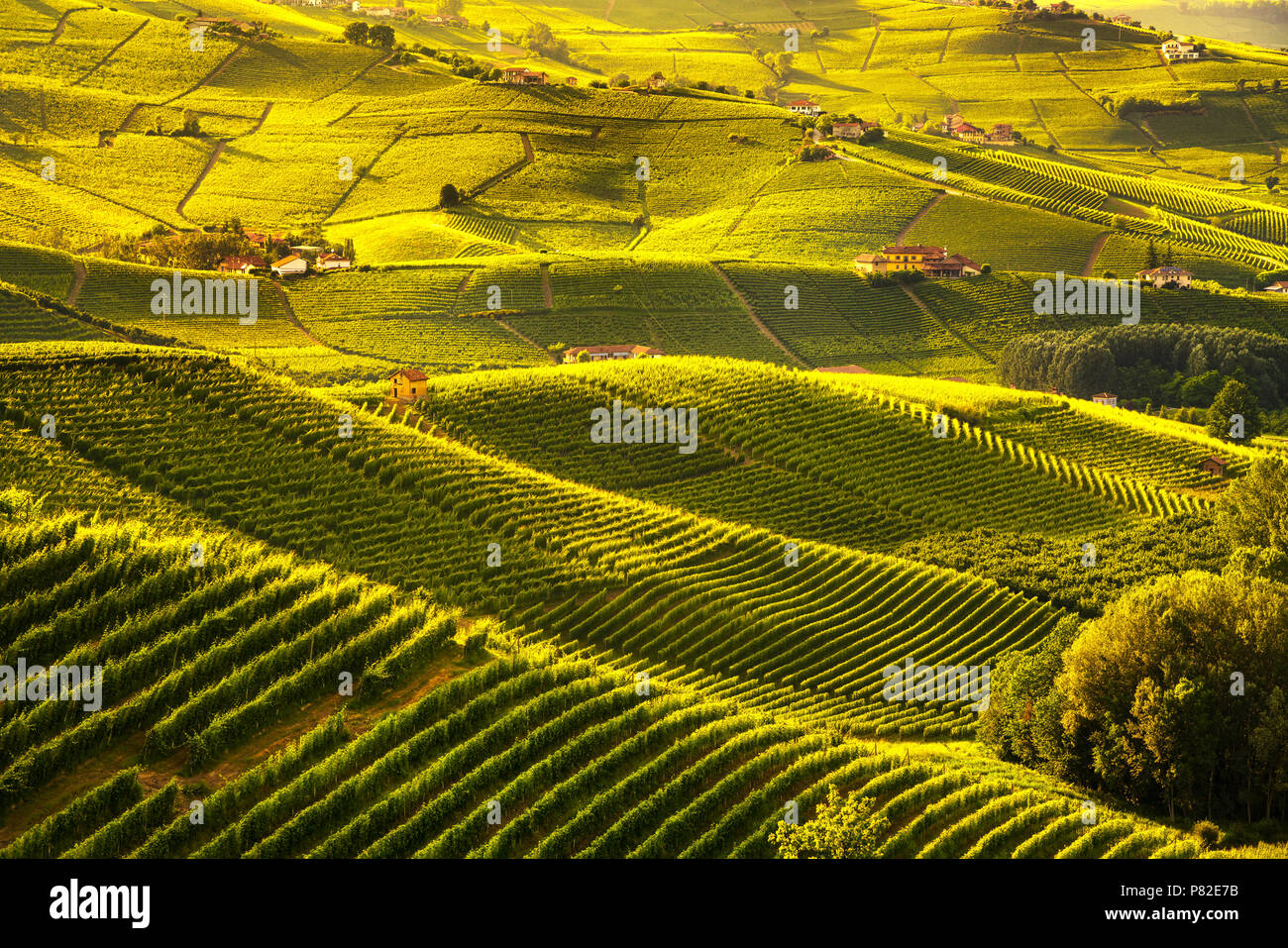 Langhe vineyards sunset panorama, near Barolo, Unesco Site, Piedmont, Northern Italy Europe. Stock Photo