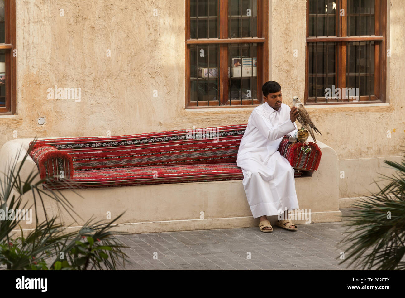 Young man holding a falcon in Souq Waqif, Doha, Qatar Stock Photo